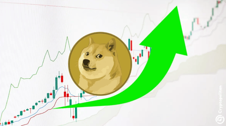 九游体育-马斯克再次发推，SHIB瞬间上上涨狗狗币%